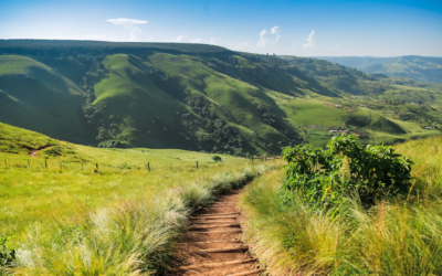 Les 10 Destinations Incontournables pour les Amoureux de la Nature